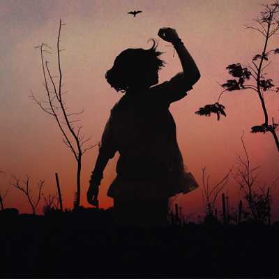 dppic beautiful d71p 