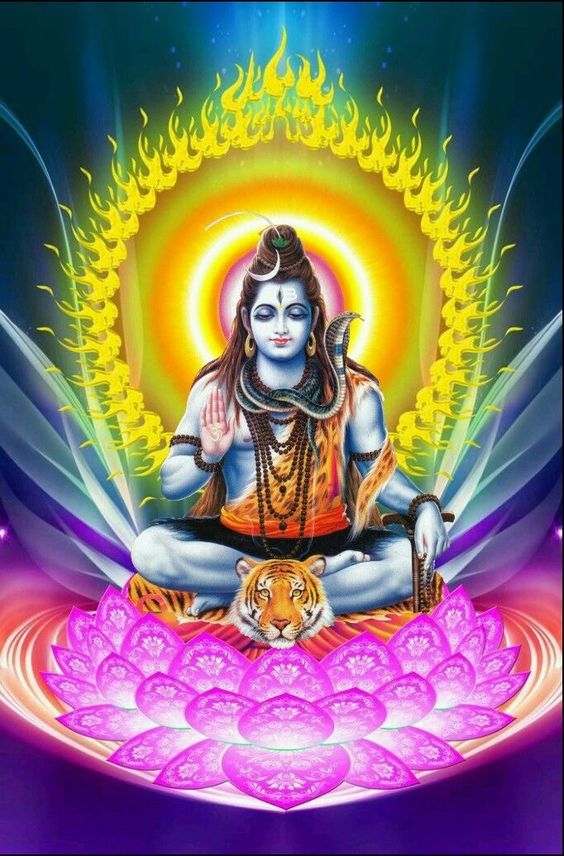 20200111024538 9cd8c55c