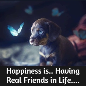 friendship whatsapp profile pics