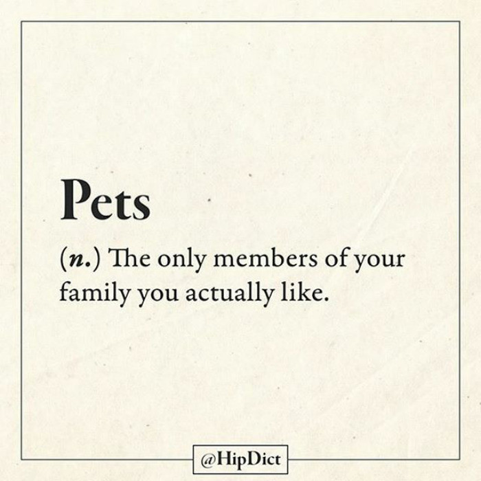 honest dictionary 2 37