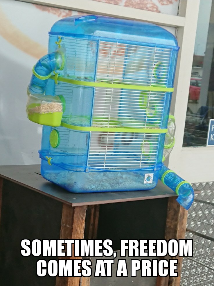 motivational quotes 2020 000042