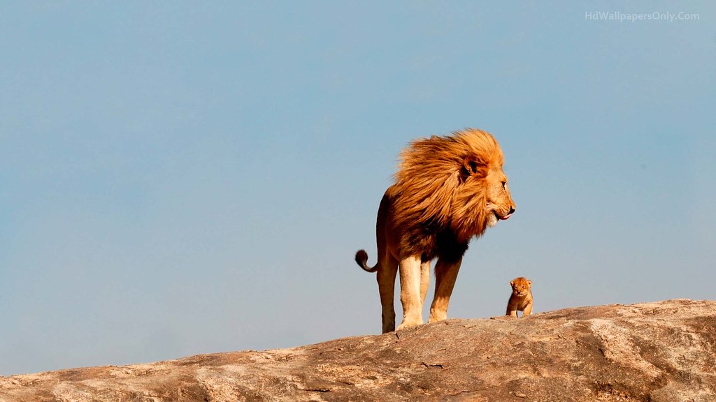 motivational quotes 2020 172245