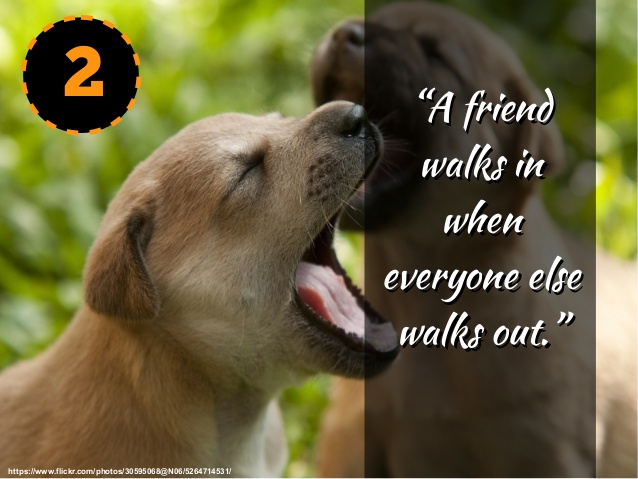 motivational quotes 2020 172251