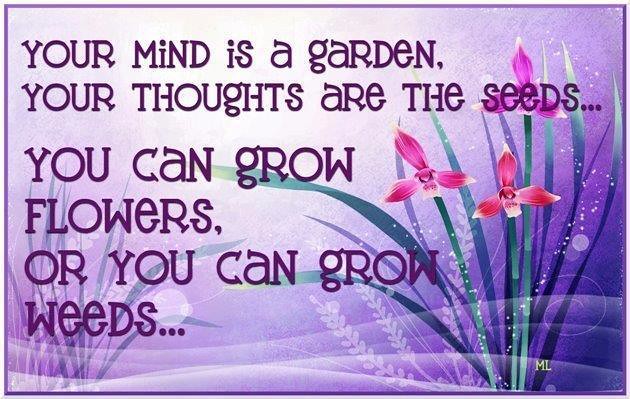 motivational quotes 2020 172354